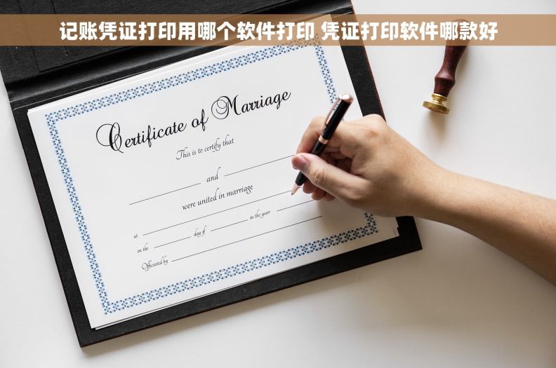 记账凭证打印用哪个软件打印 凭证打印软件哪款好