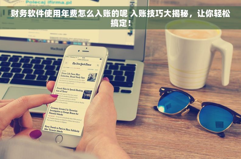 财务软件使用年费怎么入账的呢 入账技巧大揭秘，让你轻松搞定！