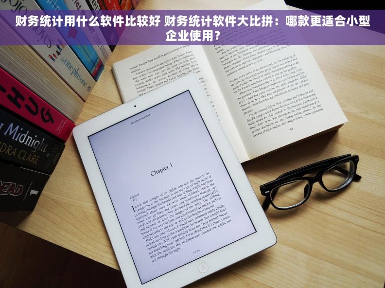 财务统计用什么软件比较好 财务统计软件大比拼：哪款更适合小型企业使用？