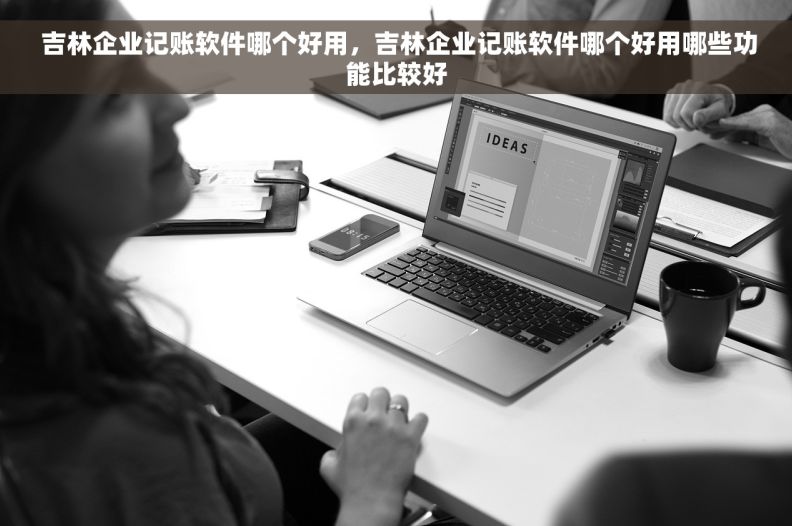  吉林企业记账软件哪个好用，吉林企业记账软件哪个好用哪些功能比较好