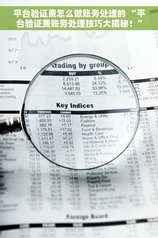 平台验证费怎么做账务处理的 “平台验证费账务处理技巧大揭秘！”