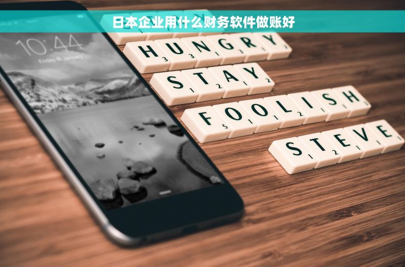 日本企业用什么财务软件做账好