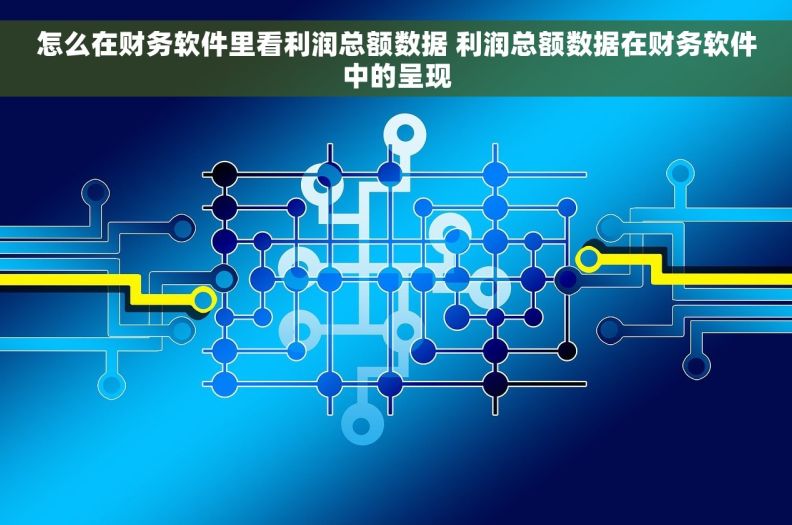 怎么在财务软件里看利润总额数据 利润总额数据在财务软件中的呈现