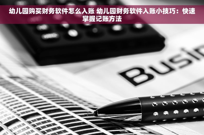 幼儿园购买财务软件怎么入账 幼儿园财务软件入账小技巧：快速掌握记账方法