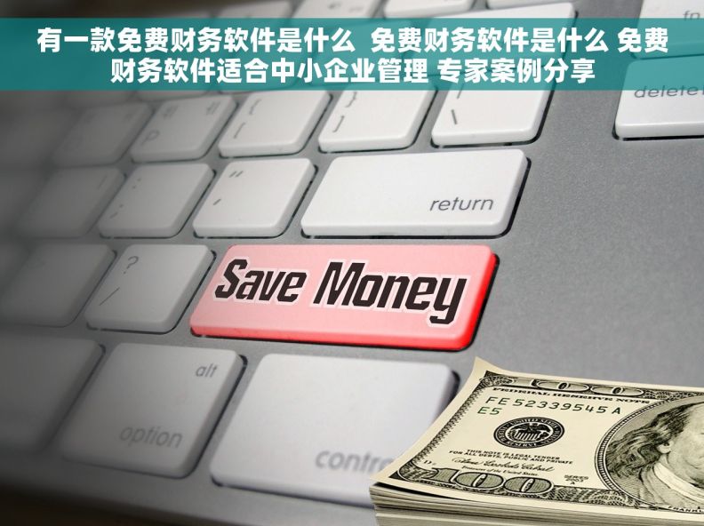有一款免费财务软件是什么  免费财务软件是什么 免费财务软件适合中小企业管理 专家案例分享