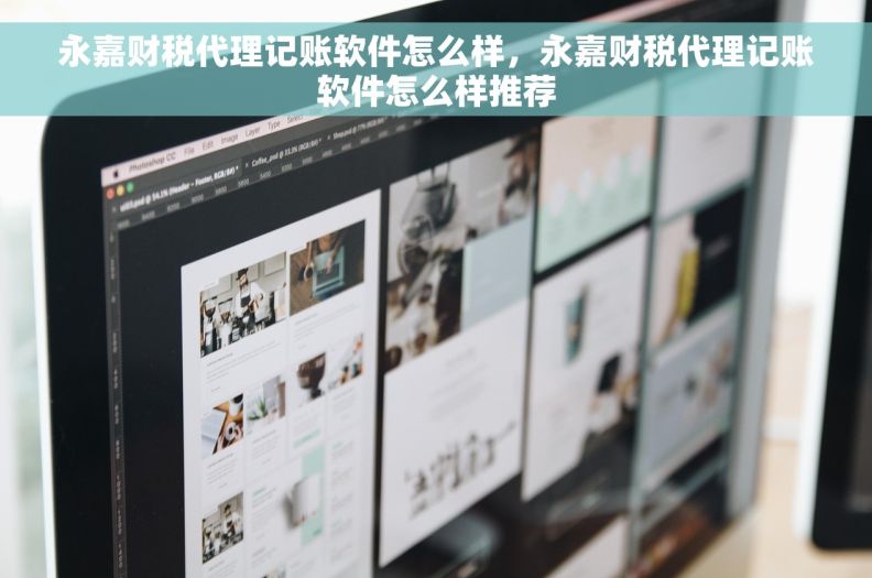 永嘉财税代理记账软件怎么样，永嘉财税代理记账软件怎么样推荐