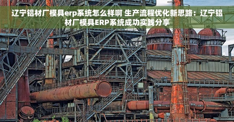 辽宁铝材厂模具erp系统怎么样啊 生产流程优化新思路：辽宁铝材厂模具ERP系统成功实践分享
