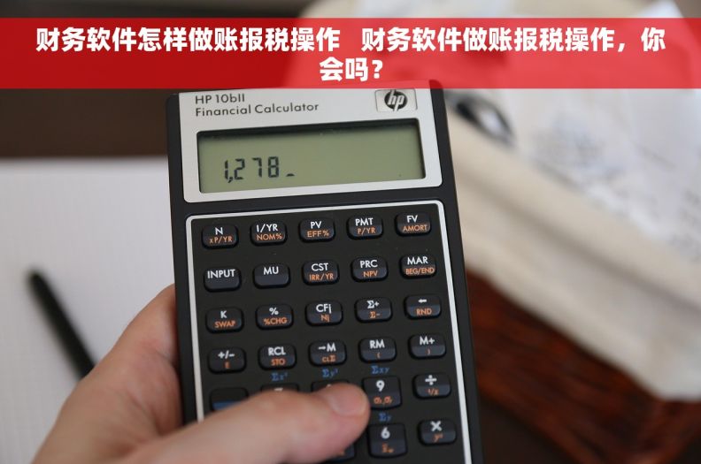 财务软件怎样做账报税操作   财务软件做账报税操作，你会吗？