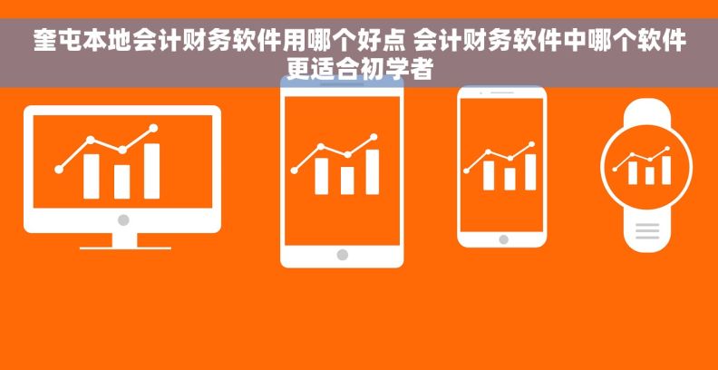 奎屯本地会计财务软件用哪个好点 会计财务软件中哪个软件更适合初学者