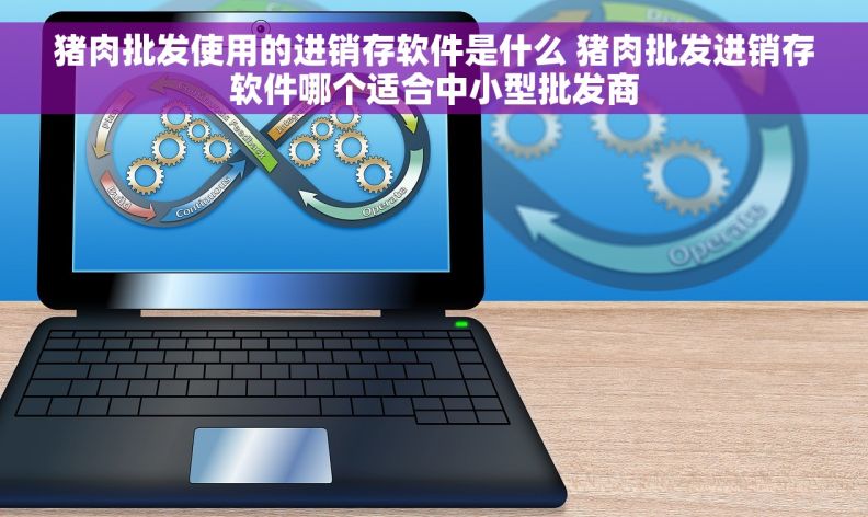 猪肉批发使用的进销存软件是什么 猪肉批发进销存软件哪个适合中小型批发商