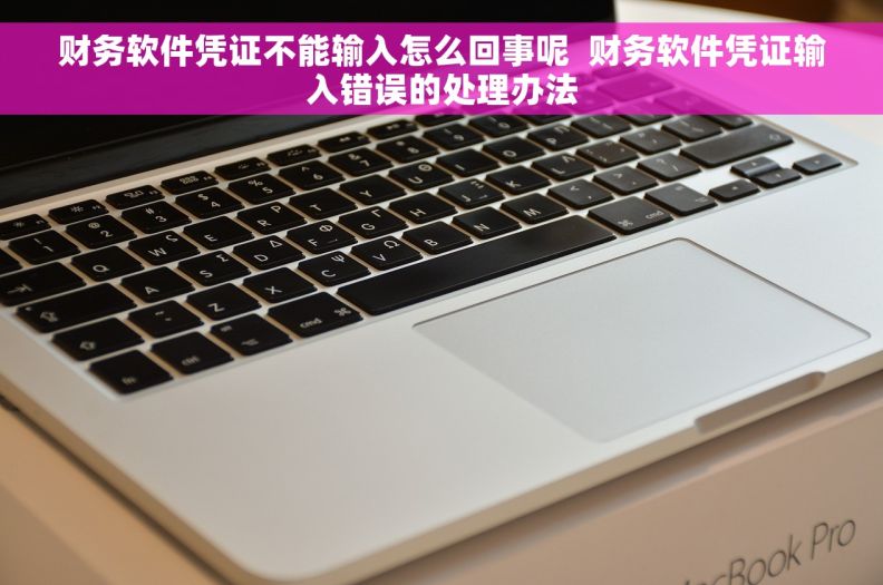 财务软件凭证不能输入怎么回事呢  财务软件凭证输入错误的处理办法