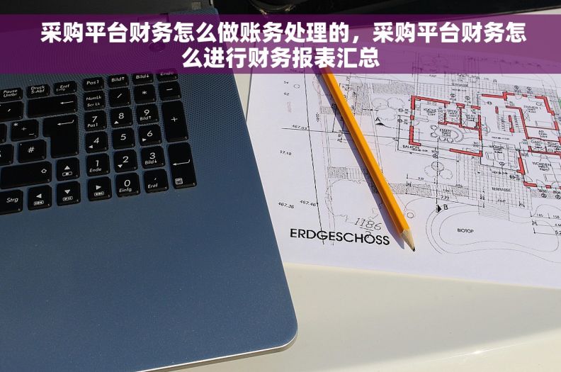  采购平台财务怎么做账务处理的，采购平台财务怎么进行财务报表汇总