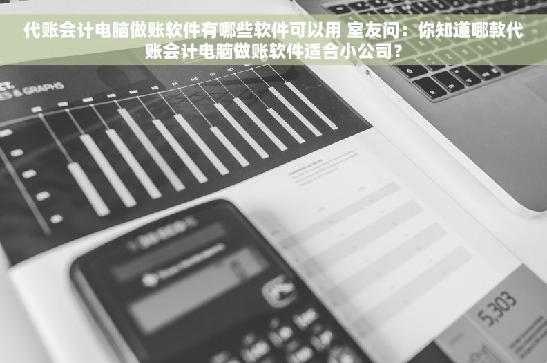 代账会计电脑做账软件有哪些软件可以用 室友问：你知道哪款代账会计电脑做账软件适合小公司？