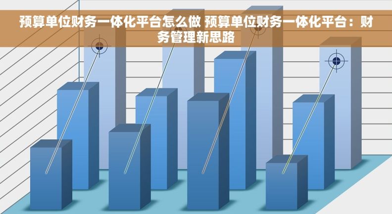 预算单位财务一体化平台怎么做 预算单位财务一体化平台：财务管理新思路