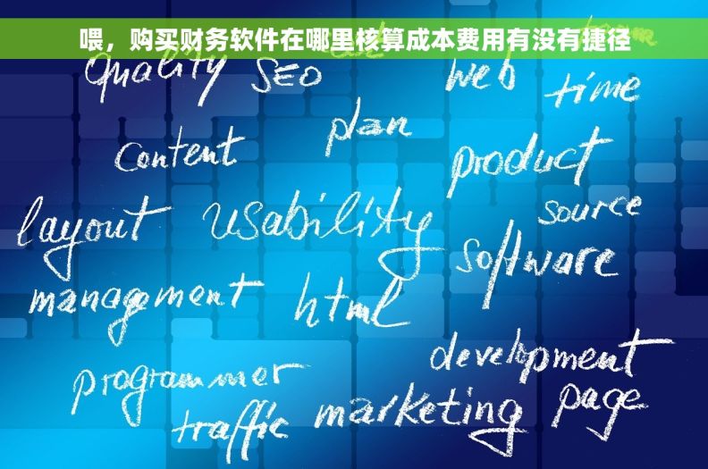 喂，购买财务软件在哪里核算成本费用有没有捷径