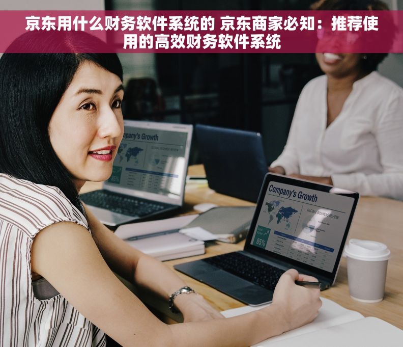 京东用什么财务软件系统的 京东商家必知：推荐使用的高效财务软件系统