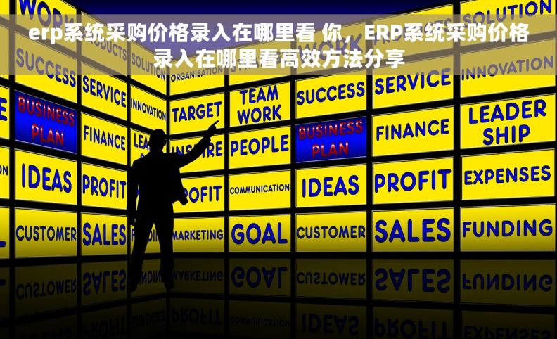 erp系统采购价格录入在哪里看 你，ERP系统采购价格录入在哪里看高效方法分享