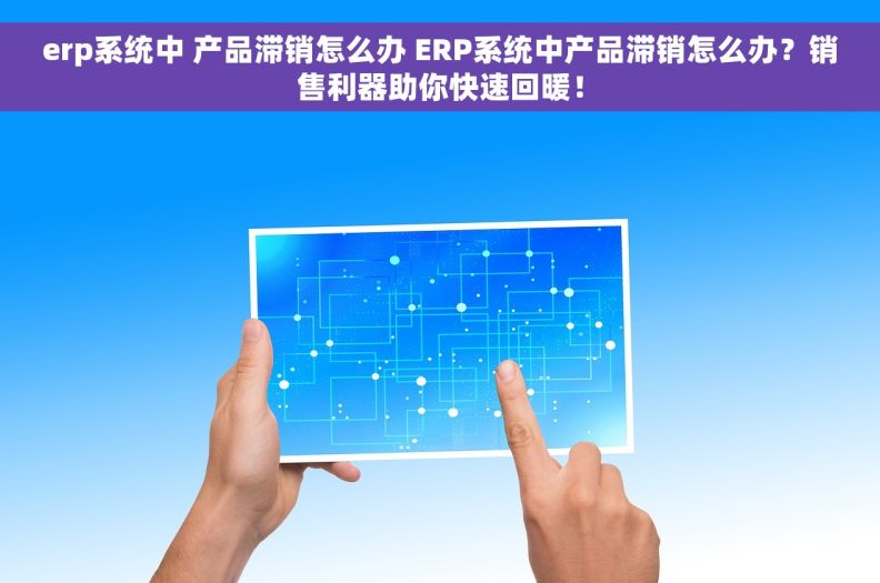 erp系统中 产品滞销怎么办 ERP系统中产品滞销怎么办？销售利器助你快速回暖！