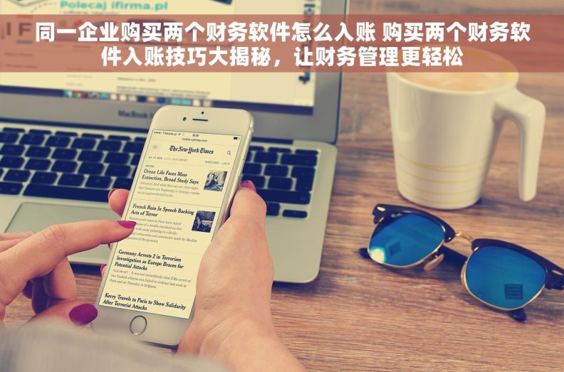 同一企业购买两个财务软件怎么入账 购买两个财务软件入账技巧大揭秘，让财务管理更轻松