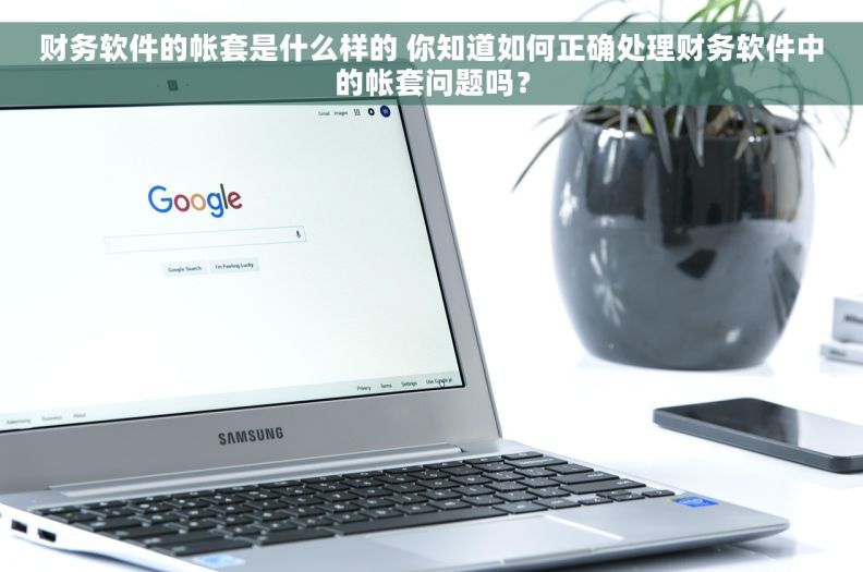 财务软件的帐套是什么样的 你知道如何正确处理财务软件中的帐套问题吗？