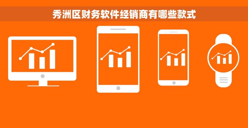 秀洲区财务软件经销商有哪些款式