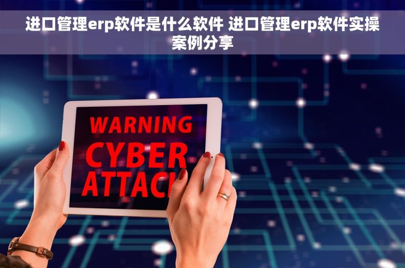 进口管理erp软件是什么软件 进口管理erp软件实操案例分享