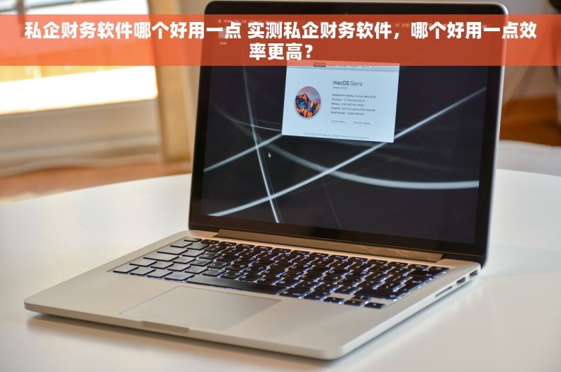 私企财务软件哪个好用一点 实测私企财务软件，哪个好用一点效率更高？