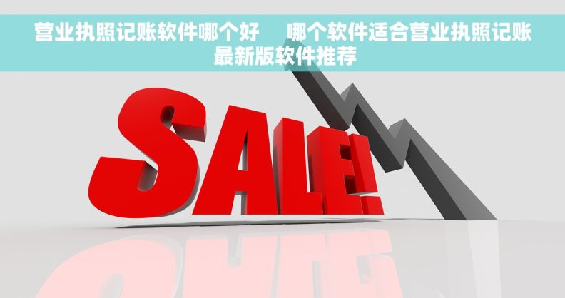 营业执照记账软件哪个好     哪个软件适合营业执照记账 最新版软件推荐