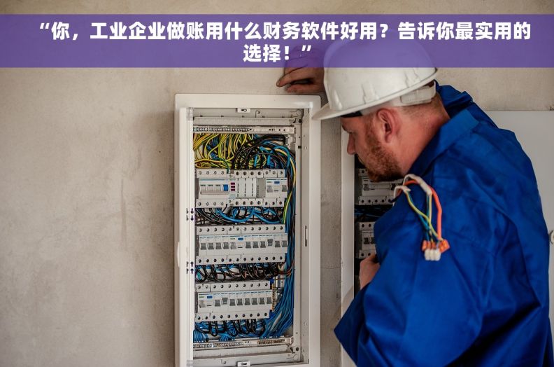 “你，工业企业做账用什么财务软件好用？告诉你最实用的选择！”