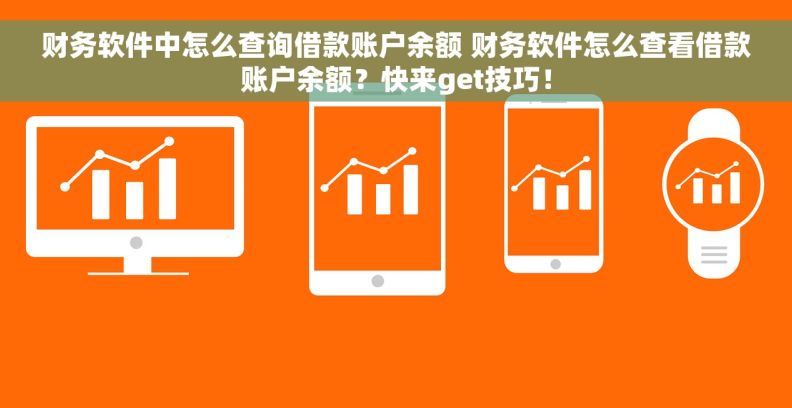 财务软件中怎么查询借款账户余额 财务软件怎么查看借款账户余额？快来get技巧！