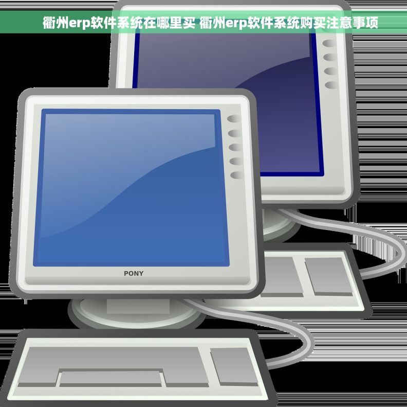     衢州erp软件系统在哪里买 衢州erp软件系统购买注意事项