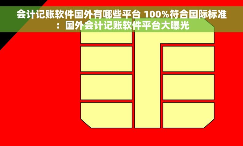 会计记账软件国外有哪些平台 100%符合国际标准：国外会计记账软件平台大曝光