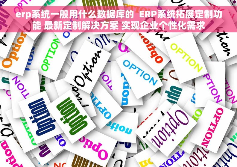 erp系统一般用什么数据库的  ERP系统拓展定制功能 最新定制解决方案 实现企业个性化需求