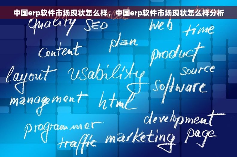 中国erp软件市场现状怎么样，中国erp软件市场现状怎么样分析
