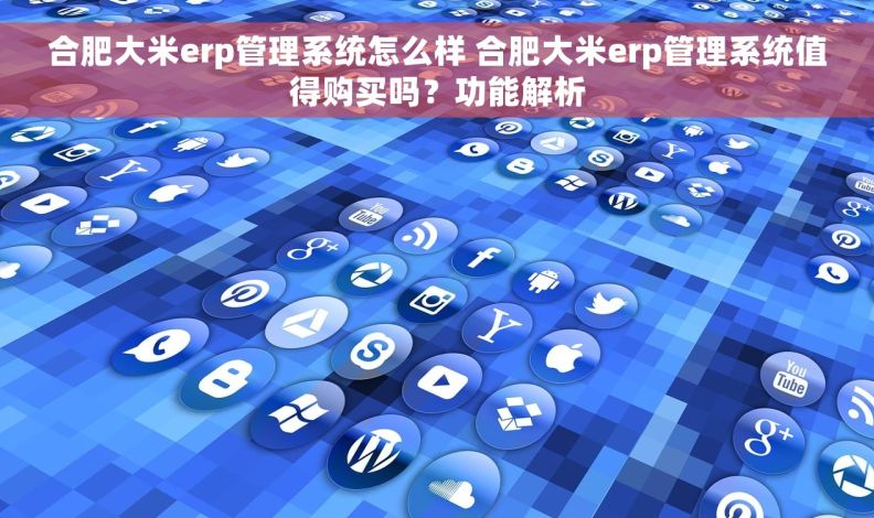合肥大米erp管理系统怎么样 合肥大米erp管理系统值得购买吗？功能解析