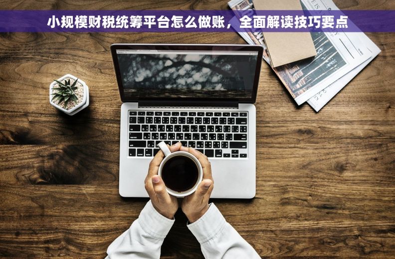小规模财税统筹平台怎么做账，全面解读技巧要点