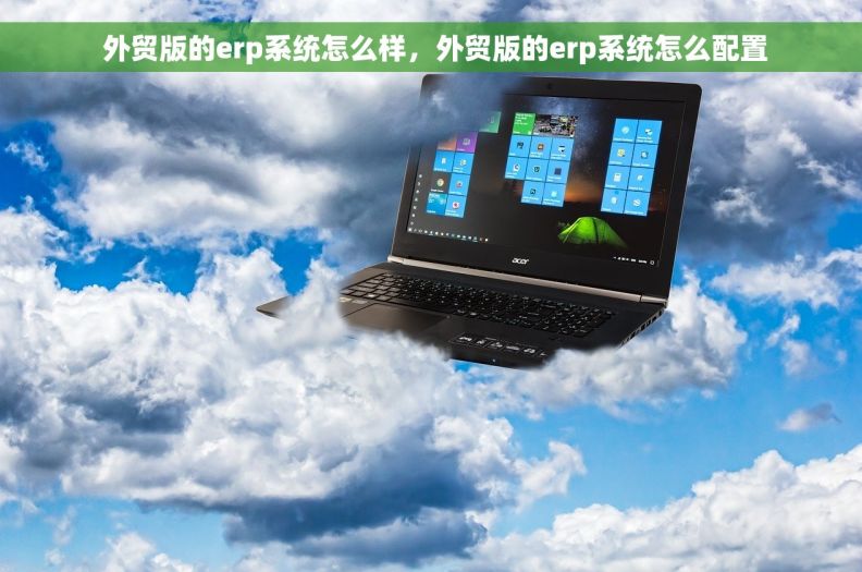  外贸版的erp系统怎么样，外贸版的erp系统怎么配置