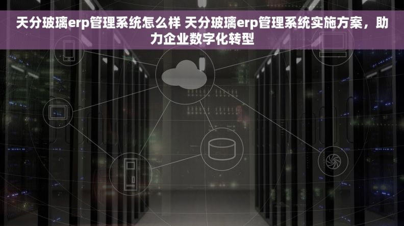 天分玻璃erp管理系统怎么样 天分玻璃erp管理系统实施方案，助力企业数字化转型