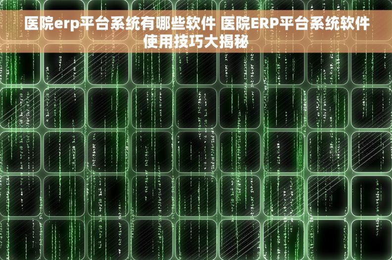 医院erp平台系统有哪些软件 医院ERP平台系统软件使用技巧大揭秘