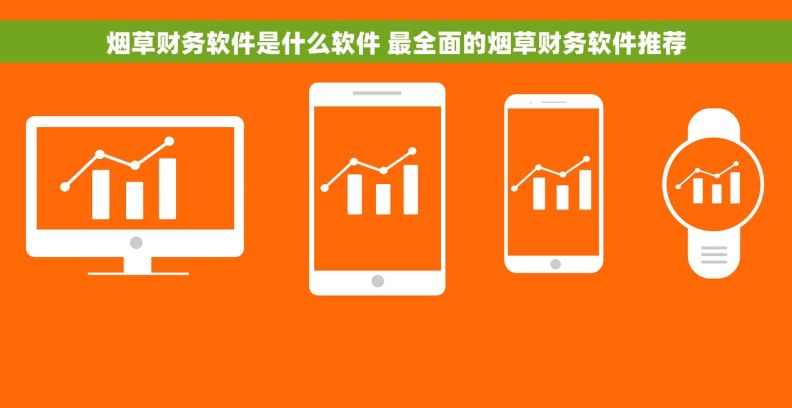 烟草财务软件是什么软件 最全面的烟草财务软件推荐