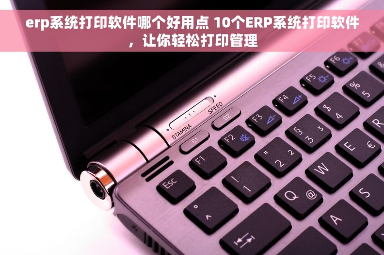erp系统打印软件哪个好用点 10个ERP系统打印软件，让你轻松打印管理