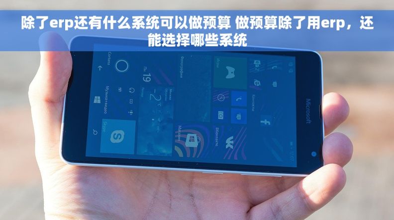 除了erp还有什么系统可以做预算 做预算除了用erp，还能选择哪些系统