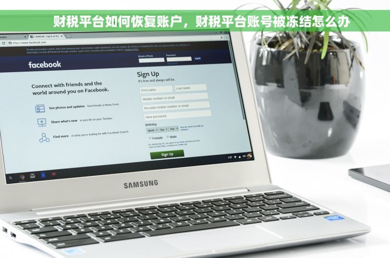     财税平台如何恢复账户，财税平台账号被冻结怎么办