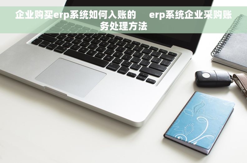 企业购买erp系统如何入账的     erp系统企业采购账务处理方法