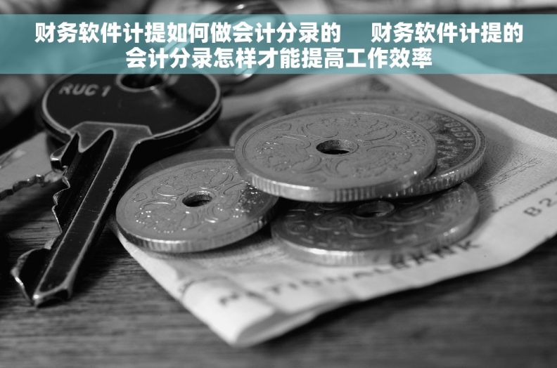 财务软件计提如何做会计分录的     财务软件计提的会计分录怎样才能提高工作效率