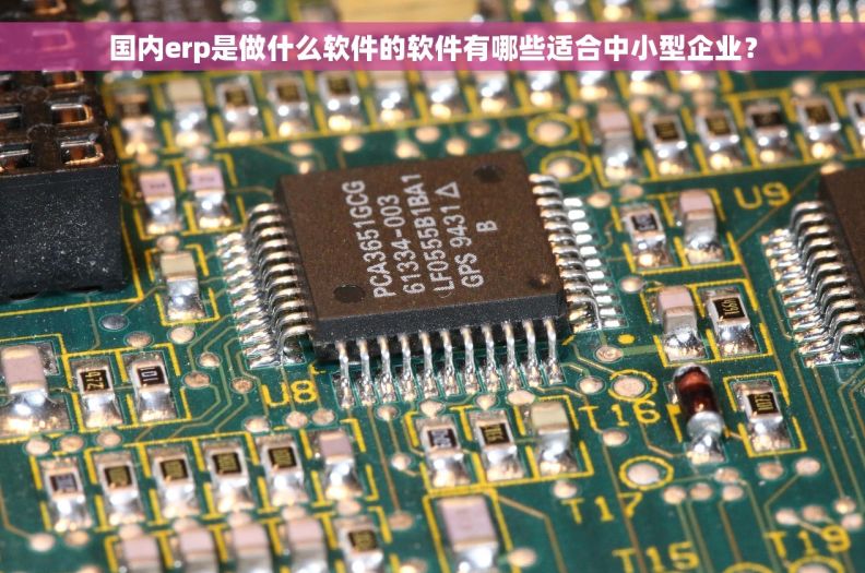 国内erp是做什么软件的软件有哪些适合中小型企业？