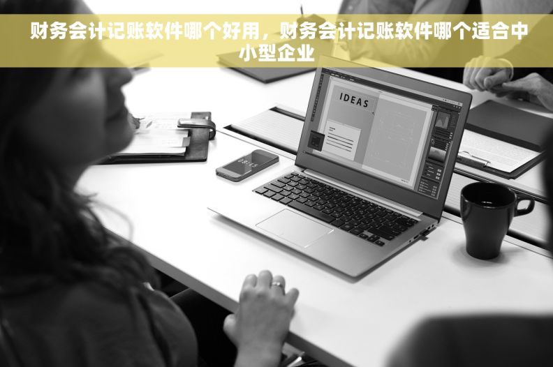  财务会计记账软件哪个好用，财务会计记账软件哪个适合中小型企业