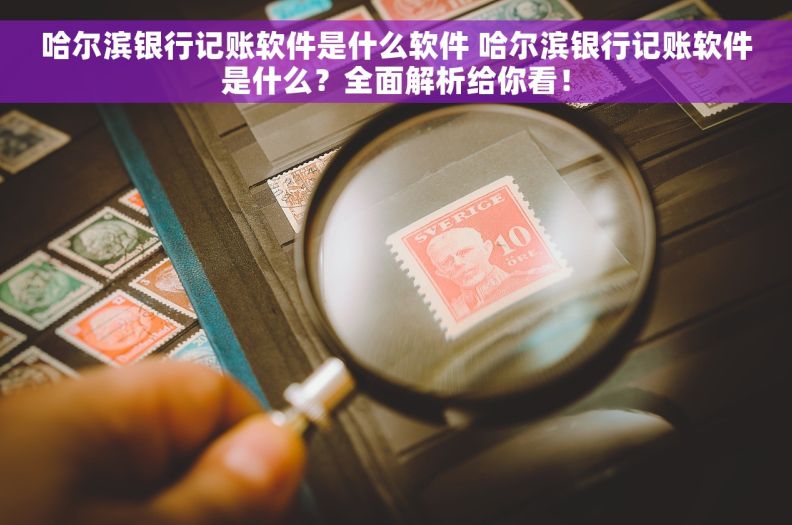 哈尔滨银行记账软件是什么软件 哈尔滨银行记账软件是什么？全面解析给你看！
