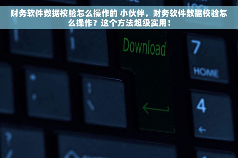 财务软件数据校验怎么操作的 小伙伴，财务软件数据校验怎么操作？这个方法超级实用！
