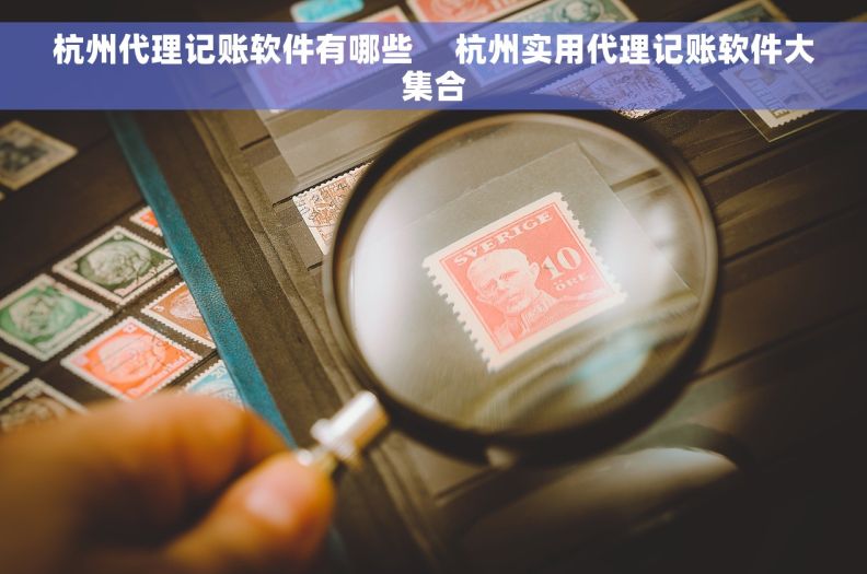杭州代理记账软件有哪些     杭州实用代理记账软件大集合